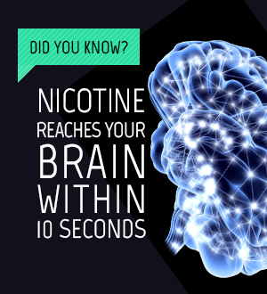 did-you-know-nicotine-reaches-brain.jpg