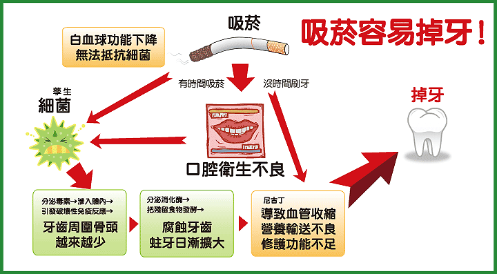 吸菸容易掉牙